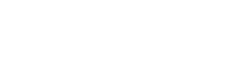 Vitalservit